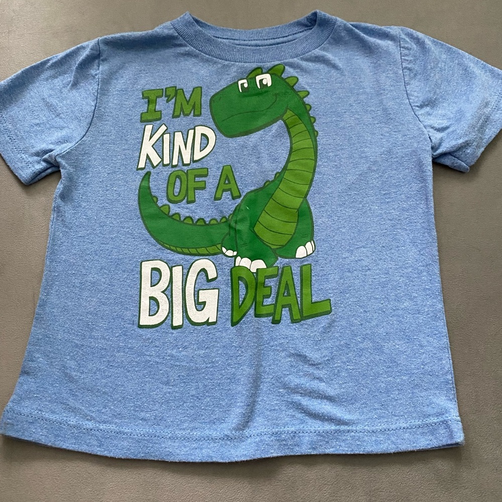 Dinosaur shirt